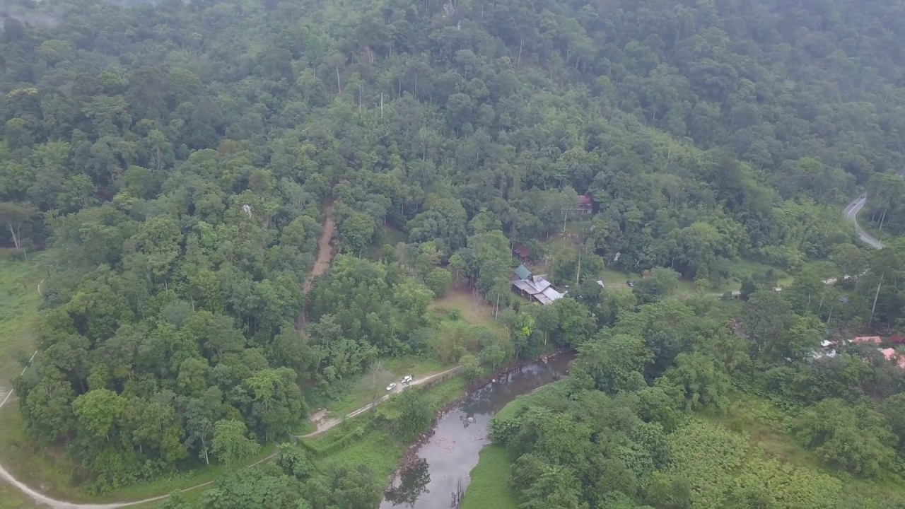 Hutan Lipur Sungai Tua Selangor Youtube