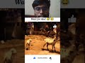মানুষের পায়ের ব্যথা নিয়ে ছাগলের চরম ফাজলামি! 🐐😂 #funny #comedy #viral #shorts