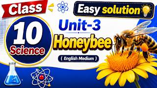 Class 10 Science Unit-3 Honeybee | Full Explanation & Easy Solution