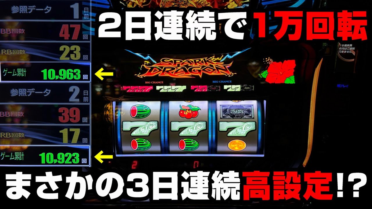 裏物】6万枚出る南国育ちの裏モノ!?めちゃくちゃ蝶が飛びまくる