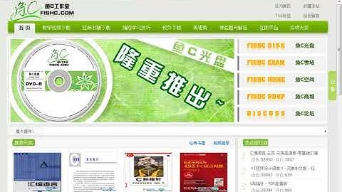 网址测试 V0.8   阶段性上机实践（探索）07   零基础入门学习 Delphi 041｜小甲鱼—零基础入门学习 Delphi