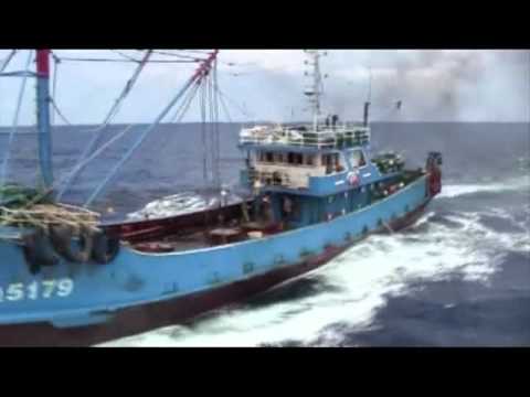 尖閣諸島中国漁船衝突事件・政府公開概要版ビデオ