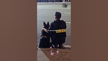 Em cảnh khuyển đang làm nhiệm vụ bên chú công an #respect #congannhandan #canhsatcodong #short