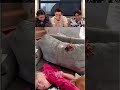 This is so funny, l couldn't stop laughing #funny #doddlersoftiktok #funnyvideos #duet #foryou