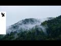 ARTO - Wake Me Up (Official Visualizer)