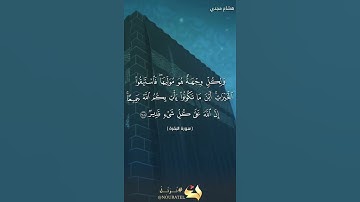آية ١٤٨ سورة البقرة بصوت هشام مجدي