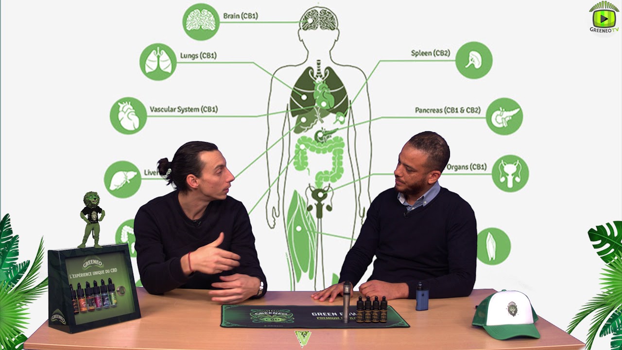 L' ABC du CBD partie 1 Définition (Greeneo X Newsweed)