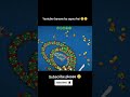 WORMATE.IO - The Best Hacker VS TheBiggest Worm