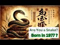 Entdecken Sie Die Geheimnisse Der Schlange 1977 Geboren Das Ist Für Sie