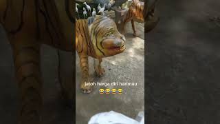 Jatuh harga diri harimau 😂 #lucu #videolucuterbaru #ngakak #status #shortvideo #storywa