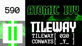 590 Tileway 020 Conways Y