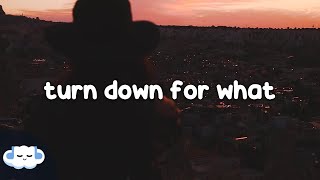 Download Lagu DJ Snake \u0026 Lil Jon - Turn Down For What (Lyrics) MP3