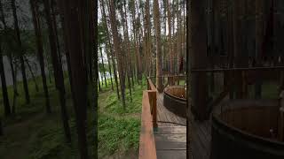 Звуки природы 🕊️