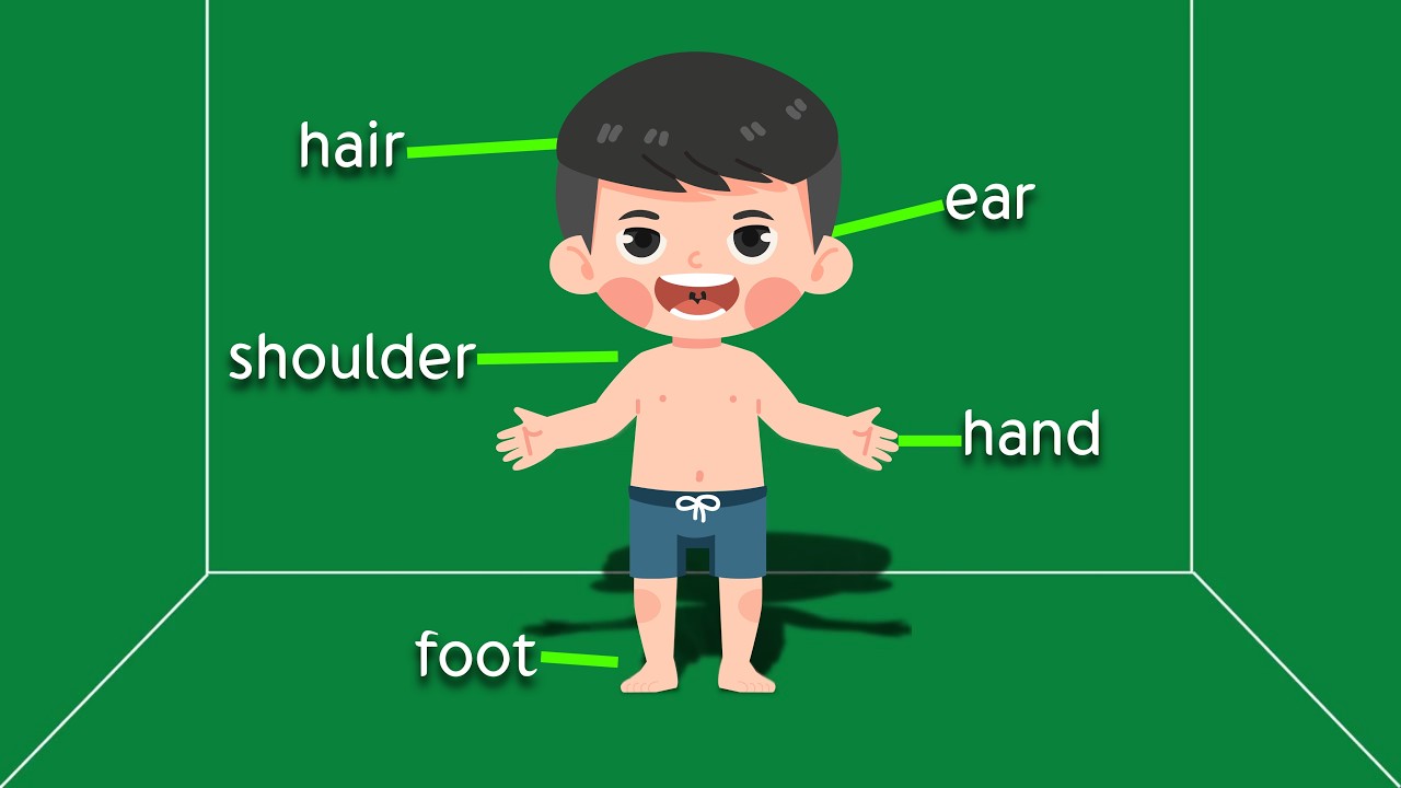 تعلم أجزاء الجسم بالإنجليزية بسهولة | Body Parts for Kids