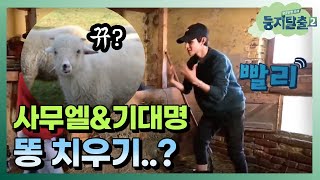 tvNnest2 사무엘&기대명, '훈남은 동물(똥)을 좋아해♥' 171219 EP.3