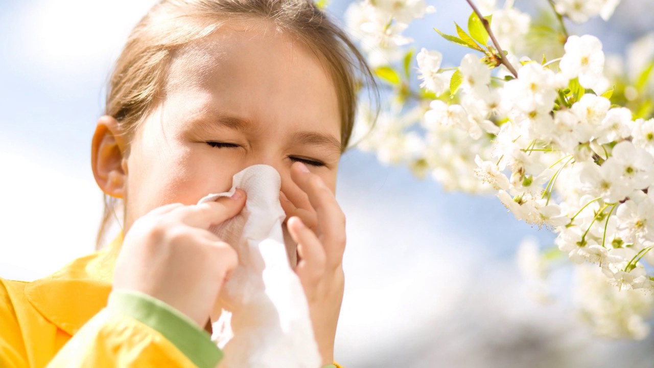 Allergies & Asthma - YouTube