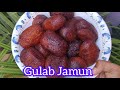 Perfect Simple Gulab Jamun Recipe 😋❤️👍