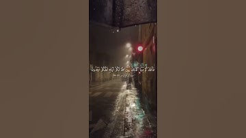 ﴿وَاعْتَصِمُواْ بِحَبْلِ اللَّهِ جَمِيعًا وَلاَ تَفَرَّقُواْ﴾ سورة آل عمران🤍