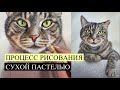 КОТИК СУХОЙ ПАСТЕЛЬЮ