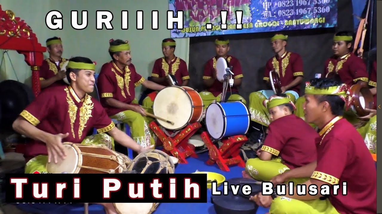 Turi putih Kuntulan Pelinggihan