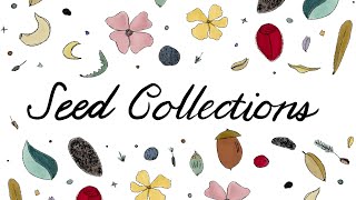 Seed Collections for Conservation