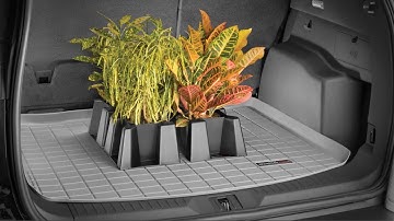 WeatherTech CargoTech: Up-Close Look