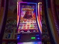Buffalo surge double up bonus #slot #casino