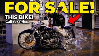 WE HAVE A KINGTAIL FOR SALE?!