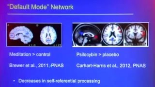 Roland Griffiths Compares Psilocybin and Meditation fMRI