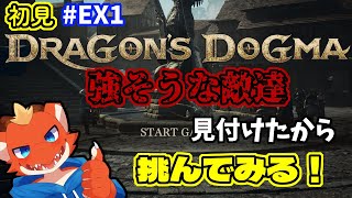 【ケモノVtuber】強そうな敵達見付けたから挑んでみるドラゴン覚者【ドラゴンズドグマ2】【完全初見#EX1】