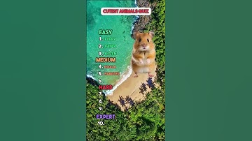 Cutest Animals Quiz! #animalquiz #cuteanimals