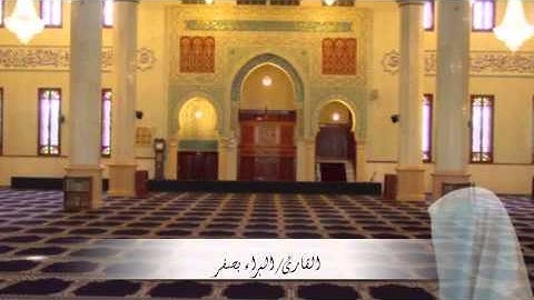 سورة القيامة للبراء بصفر