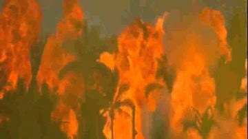 Apocalypse Now opening scene music timing