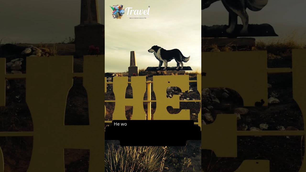 The Trail of History (Lewis & Clark) (Shep The Dog) & Fort Benton Montana Chapter 1