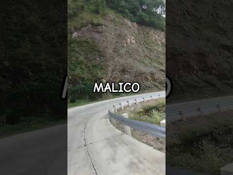 MALICO Highlights Rides Fyp