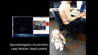 Design an intuitive interface to control a Nao Robot with Leap Motion & Space Navigator