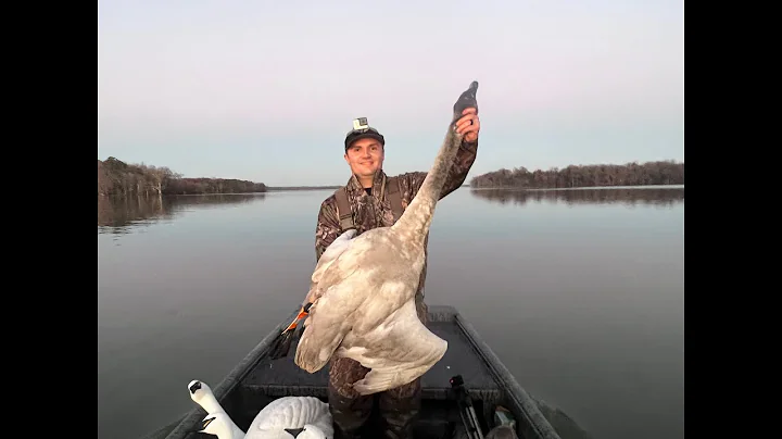 Virginia Tunda Swan REDEMPTION!