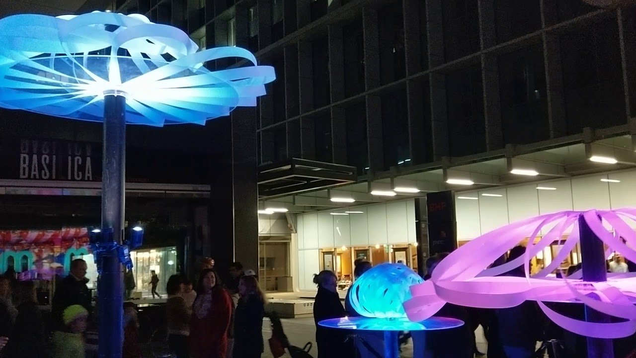 Brookfield Winter Lights Festival YouTube