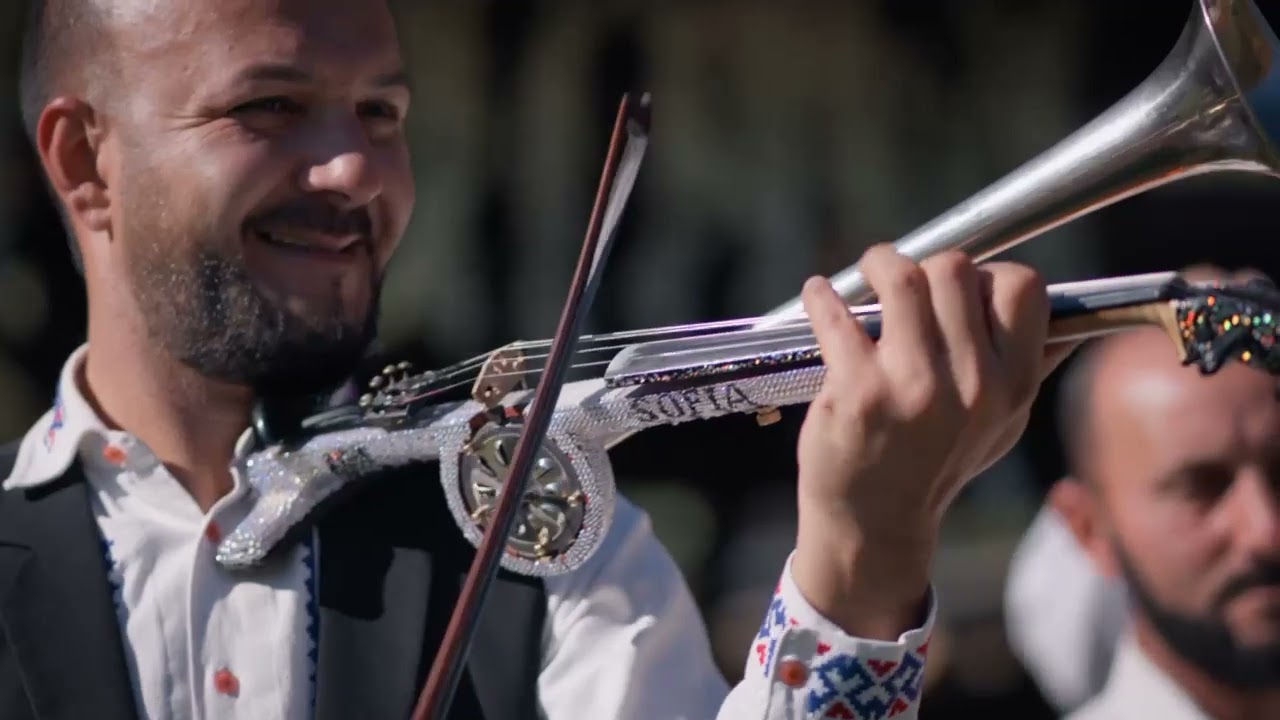 Dan Moisa - Ardeleană de pe Criș