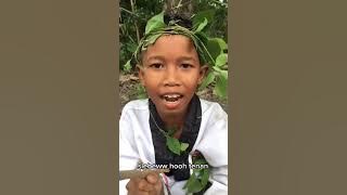 Kata-Kata Dek???? || Iks.pi kera sakti #shorts #shortvideo