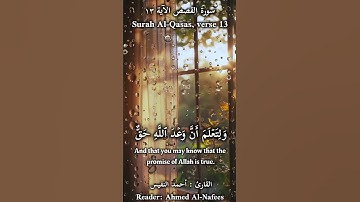 فَرَدَدۡنَٰهُ إِلَىٰٓ أُمِّهِۦ كَيۡ تَقَرَّ عَيۡنُهَا وَلَا تَحۡزَنَ |القارئ : أحمد النفيس