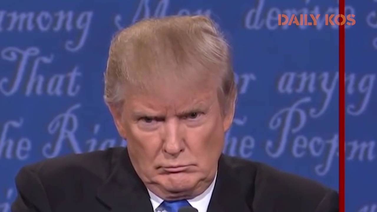 Image result for trump expressions