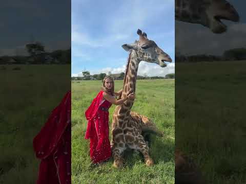 قالتلي هش هش سارة الورع