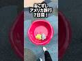 最終日|ねこずしアメリカ旅行