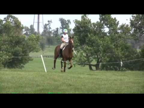 Haley Armstrong Lafromboise & Ichabod NAJYRC Lexin...