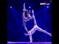 힘과 부드러움의 조화, 기교와 잘 어울리는 캐미를 보여주는 서커스 감상: "대수정（对手顶）" | CCTV 한국어방송