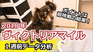 【1週前G1予想】2018年 ヴィクトリアマイルのデータ分析【星野るり】