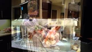 Sous Vide Cornish Hen with Root Vegetables