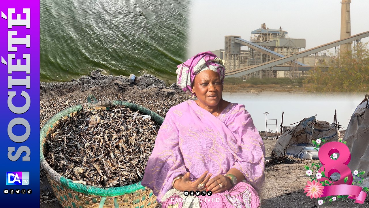 Bargny / Transformation de poisson : les femmes réclament justice et reconnaissance en ce 8 mars