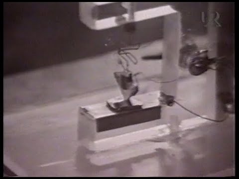 Uppfinnare-upptäckare - Transistorn (SVT 1994)
